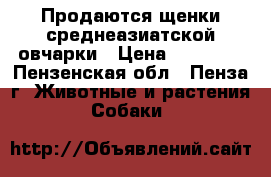 Продаются щенки среднеазиатской овчарки › Цена ­ 15 000 - Пензенская обл., Пенза г. Животные и растения » Собаки   